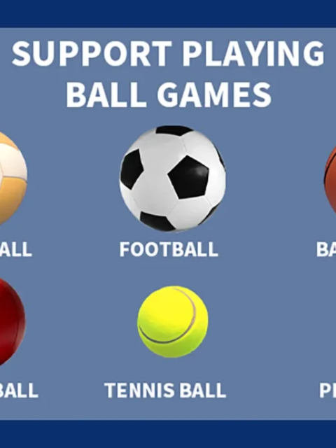 Omni ball (15) Top Priorities When Choosing an Interactive Sports Wall Supplier
